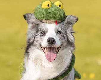 Funny Plush Snake Dog Toy with Squeakers – Cute Squeaky Chew Toy Gift, Durable Interactive Tug Fetch Play Toy for Puppies Medium Large Dogs