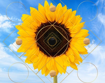 Sunflower Sacred Geometry Portal to Paradise 12th Dimension