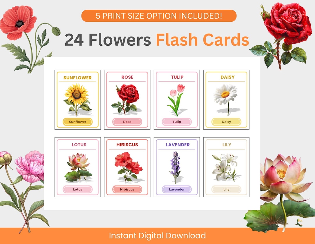 Flowers Flash Cards Printable | 24 Montessori Flower Learning Cards ...