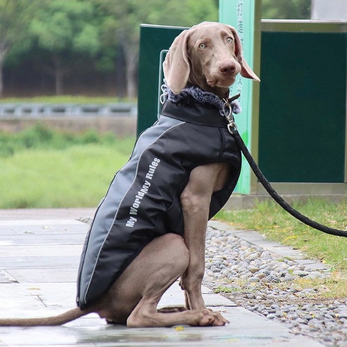 Dog Puffer Down Jacket Coat 
