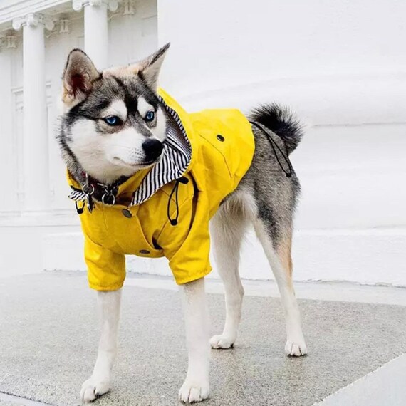 Hooded Waterproof Dog Raincoat Yellow 