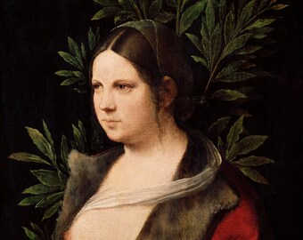 Portrait of a Young Woman