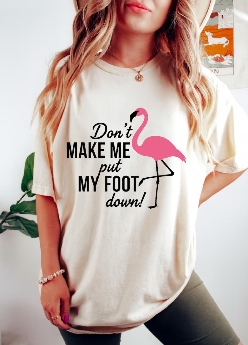 EYSL Targa In Latta Retrò Con Fenicottero Rosa - Scritta 'Don't Make Me Put My Foot Down', 20x30 Cm, Decorazione Divertente Per Casa, Bar, Cameretta