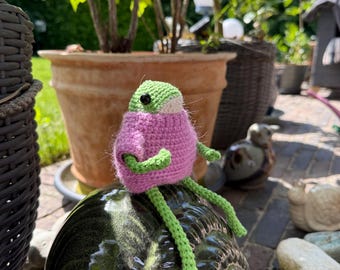 Crochet Frog Amigurumi Doll, Mohair Sweater, Handmade Cotton Toy