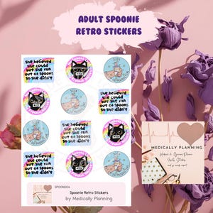 Adult Funny Spoonie Planner Stickers