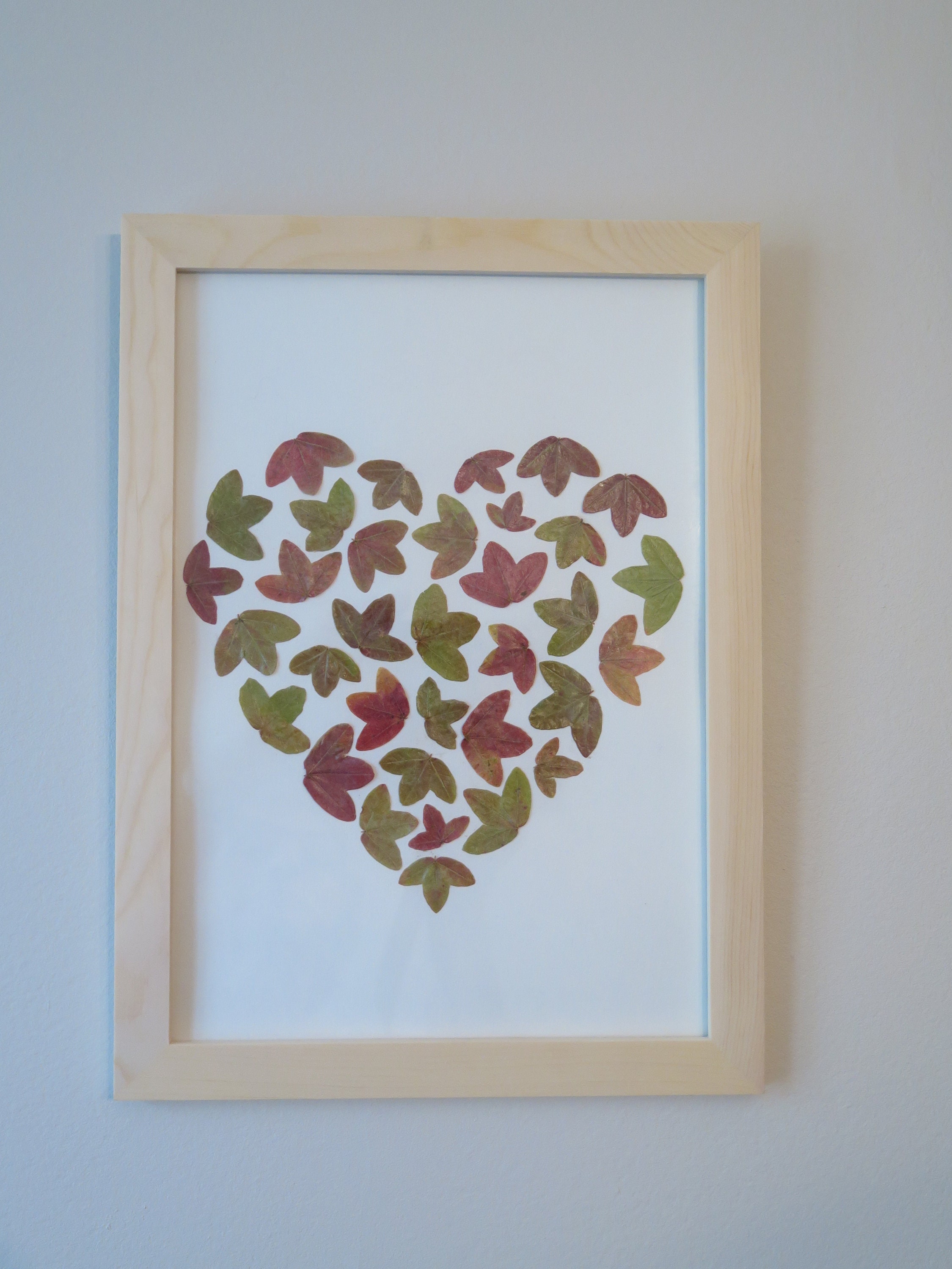 Cadre Herbier Coeur Fleurs Pressées Erable de Montpellier