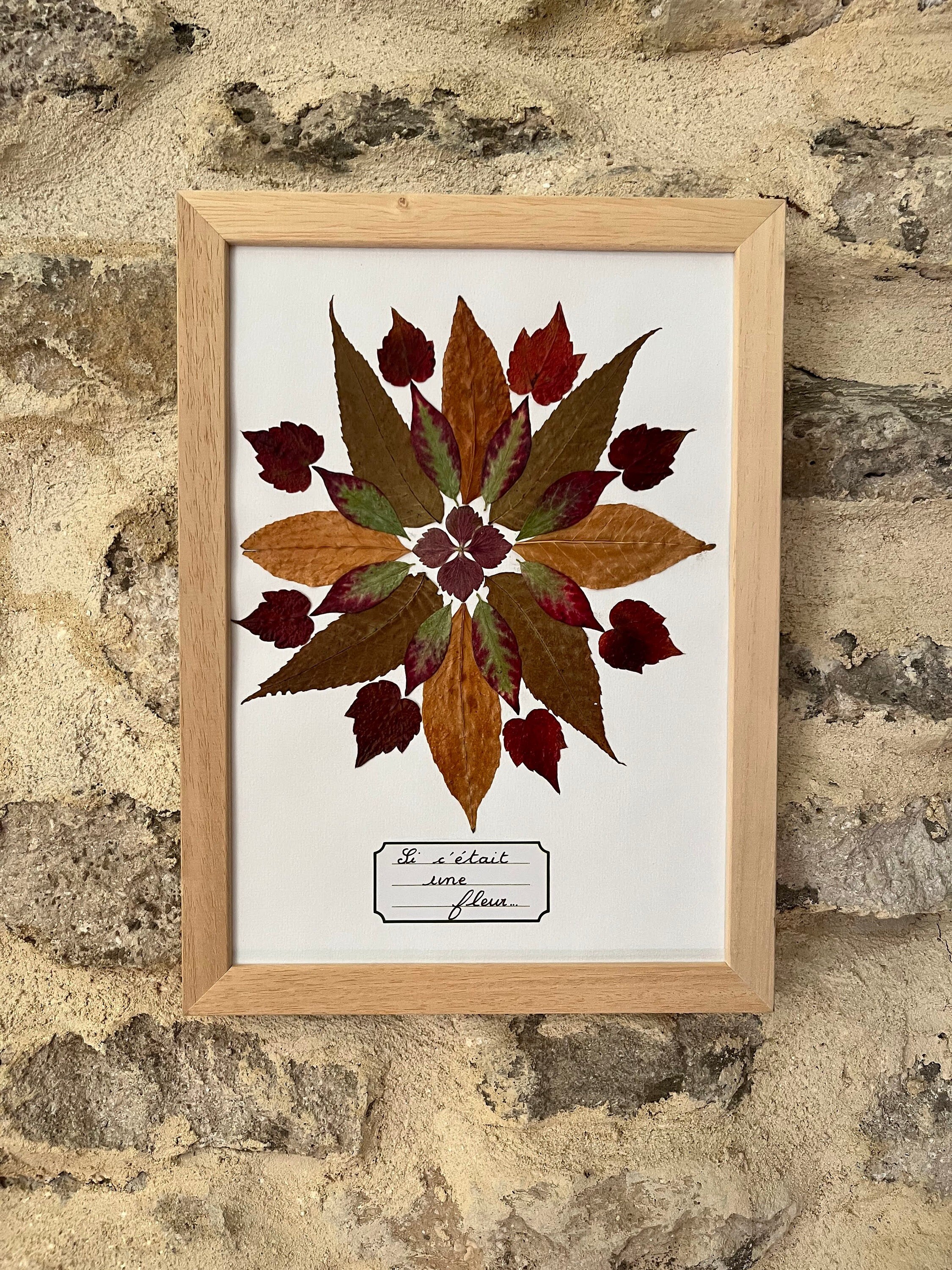 Cadre Herbier Mandala Fleurs Pressées Feuille