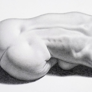 Maude 2 - disegno a matita