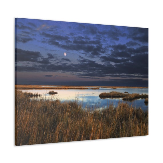 Rural Countryside of Dorchester County