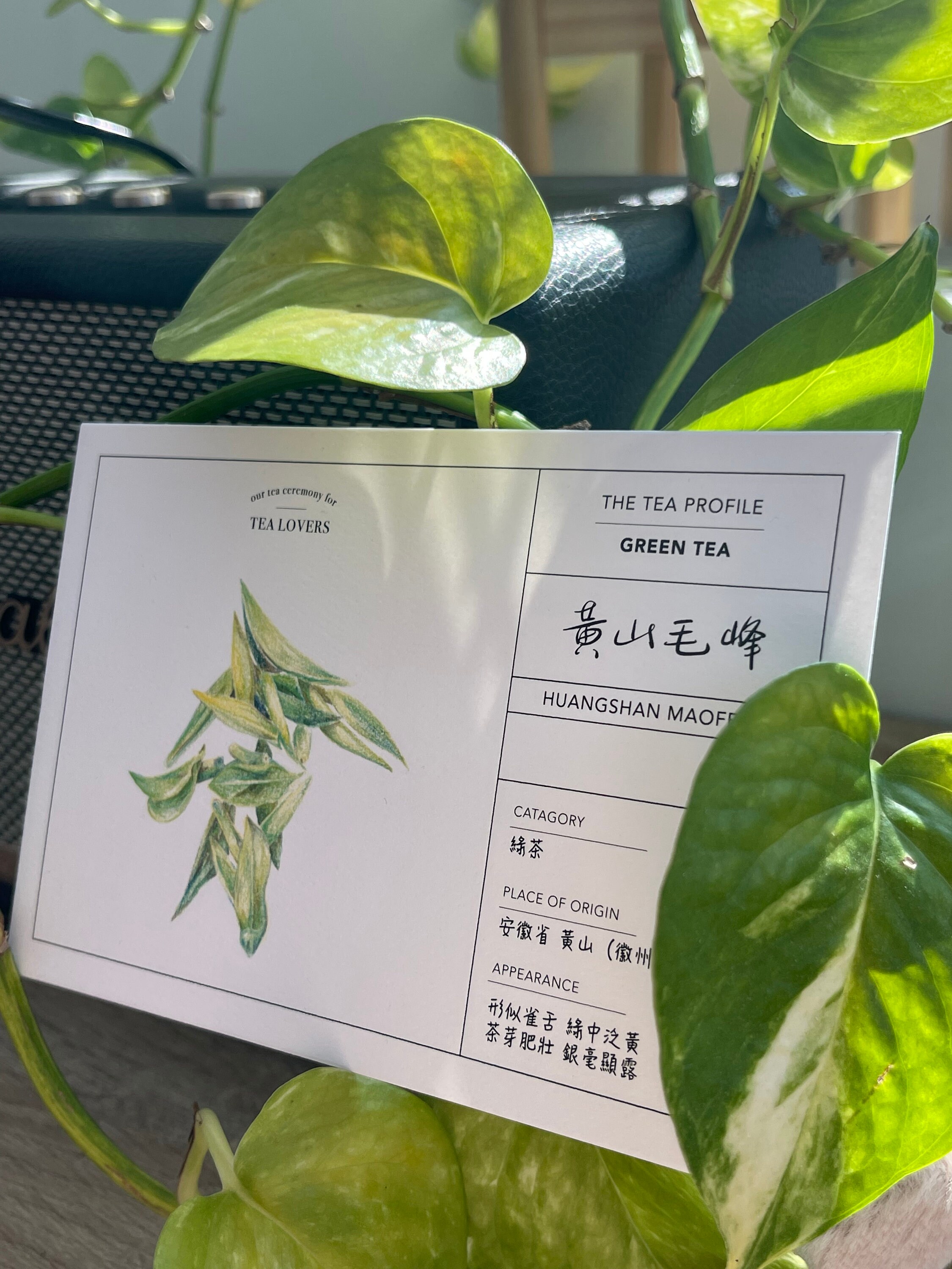 Tea Diary Post Card, Asian Traditional, Illustrations, Gift for Friends