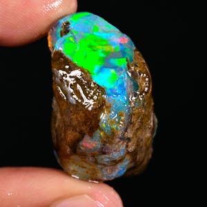 May include: A rough, uncut opal gemstone with vibrant colors. The opal displays a striking play of color, with flashes of green, blue, and red against a brown matrix. The gemstone is held in a person's hand, showcasing its natural, raw beauty.