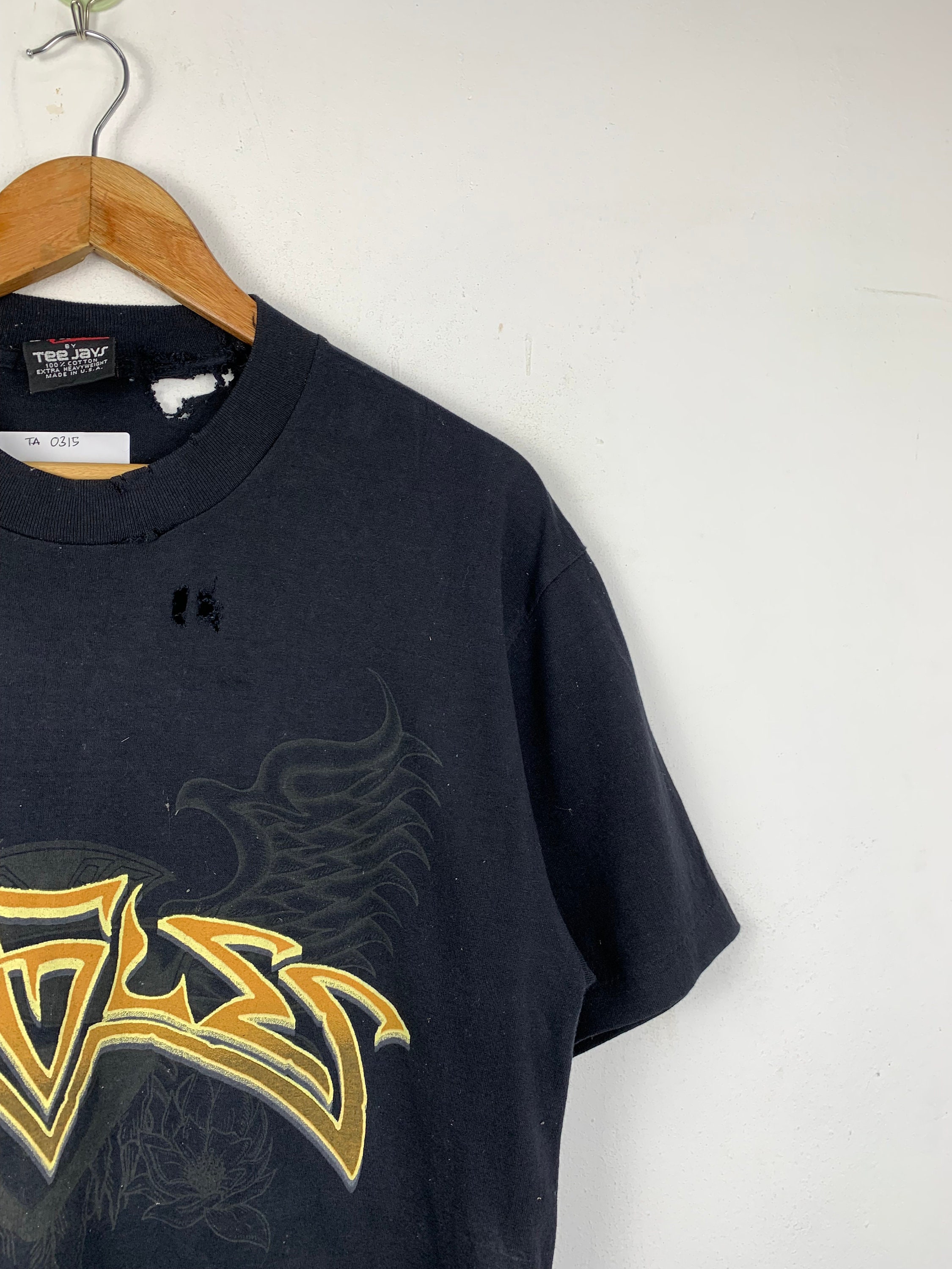 90s 1995 EAGLES WORLDTOUR Tシャツ バンド US Vintage 90s Eagles World Tour 1995 Rock Band T-shirt Sz L