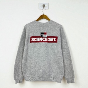 Vintage 90s Hanes Activewear Gray Sweatshirt - Soft & Cozy Clothes For Unisex Adult Size Large With Box Logo  - Classic And Timeless Comfort