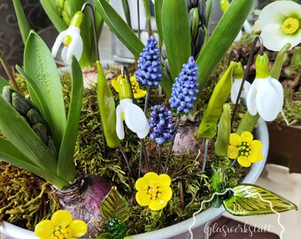 Blumenstecker Frühlingsblumen Schneeglöckchen Winterlinge Traubenhyazinthen Bienen Glas