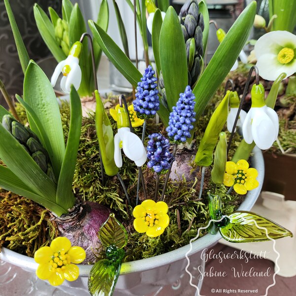 Blumenstecker Frühlingsblumen Schneeglöckchen Winterlinge Traubenhyazinthen Bienen Glas