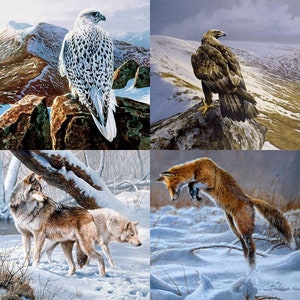 Lot de 4 cartes de voeux hiver par Andrew Ellis