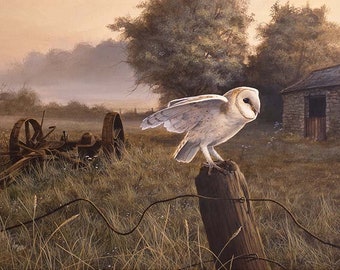 Bygone Days A5 Card & Envelope by wildlife artist Andrew Ellis. Barn owl waiting for twilight to hunt
