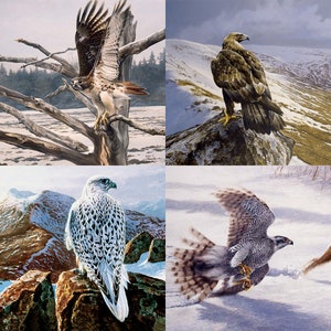 Winter Bird 4 Pack Greeting Cards by Andrew Ellis