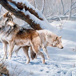 Biglietto A5 e busta Broken Silence dell'artista naturalista Andrew Ellis. Lupi di legno nella neve canadese