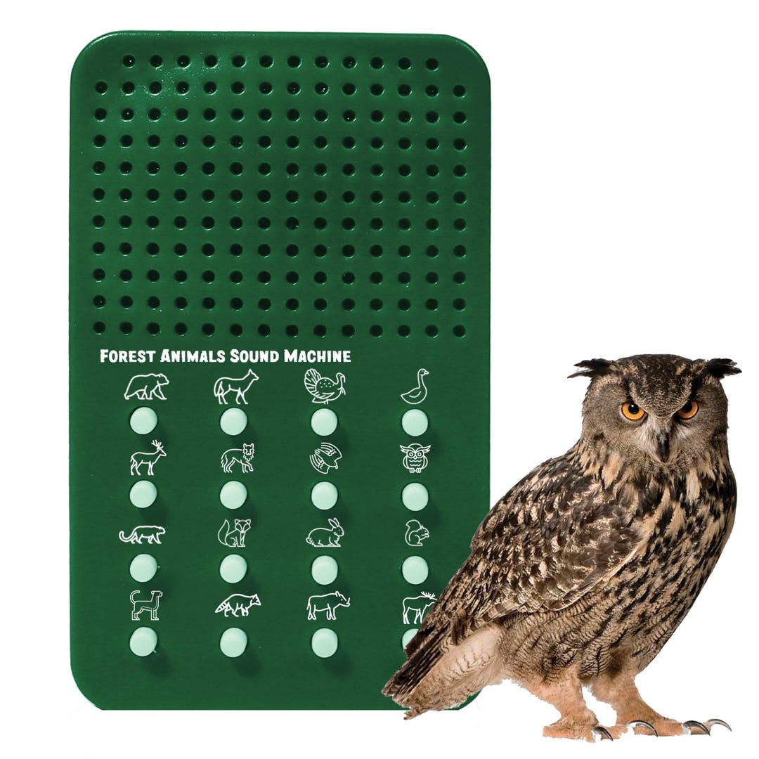 Forest Animal Sound Maker: 16 Wildlife Calls - Hunting Toy - Etsy