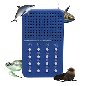 Op de afbeelding: Een blauwe Sea Animals Sound Machine met een dolfijn, haai, zeeschildpad en zeehond. De machine heeft knoppen met zeediericonen. De tekst "Sea Animals Sound Machine" staat op de voorkant.