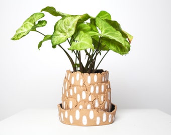 White-ticked Ceramic Planter