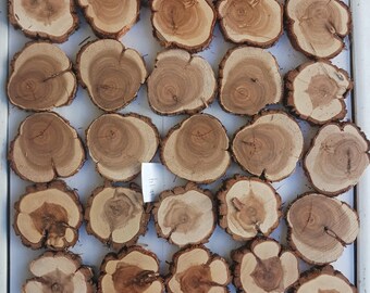 28 Rustic Juniper Wood Slices: Natural Tree Rounds for Crafts, Projects (2.5" - 3" Average) Bag #14