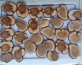 27 Rustic Juniper Wood Slices: Natural Tree Rounds for Crafts Projects (2.5" - 4.5" Average) Bag #13