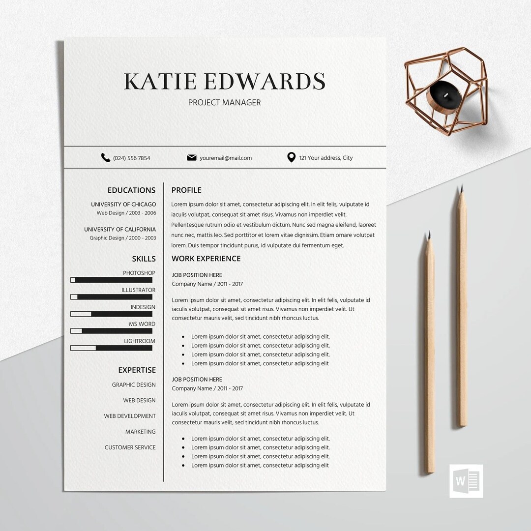 Sales, Executive Resume Template 2024, Modern CEO Resume Template for ...