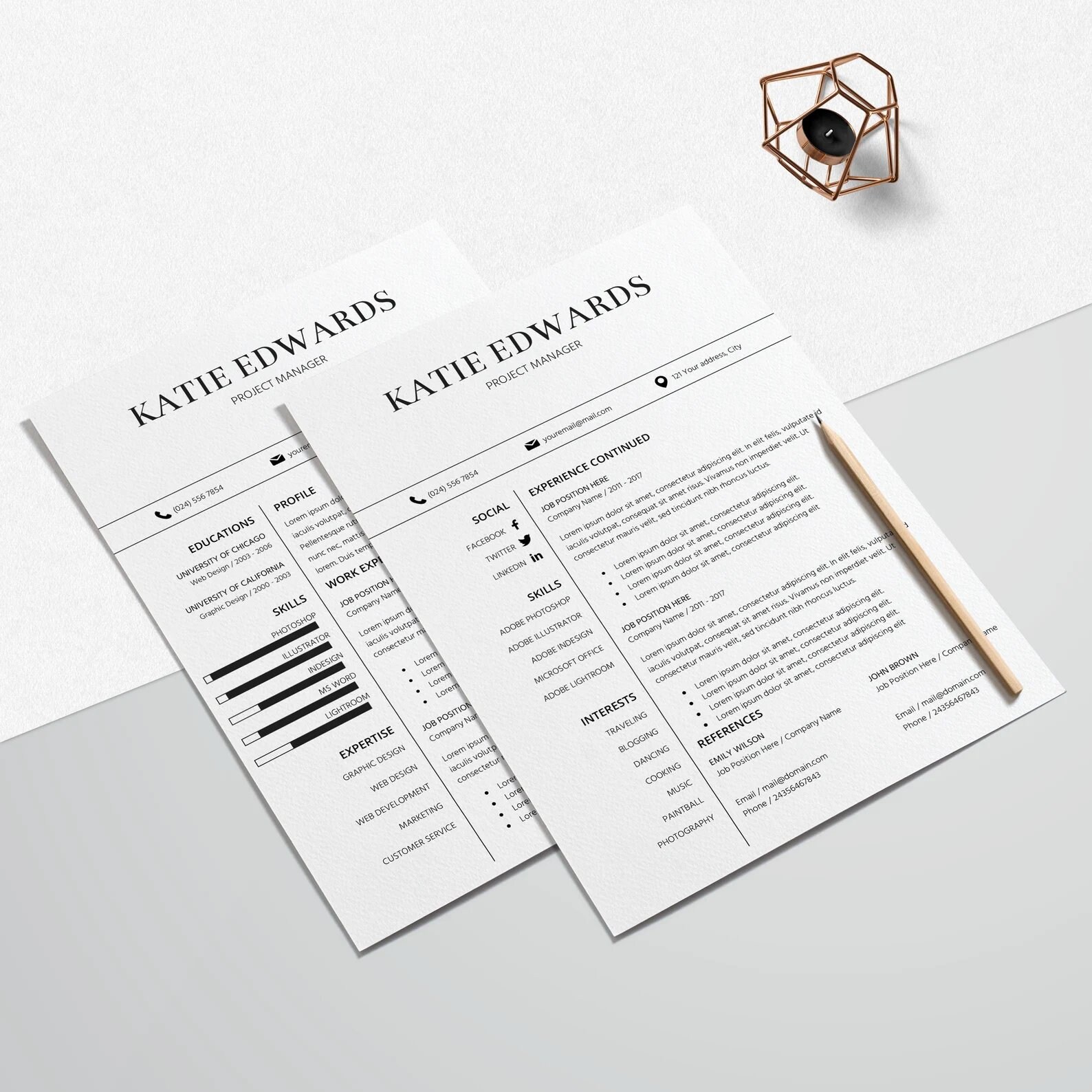 Sales, Executive Resume Template 2024, Modern CEO Resume Template for ...