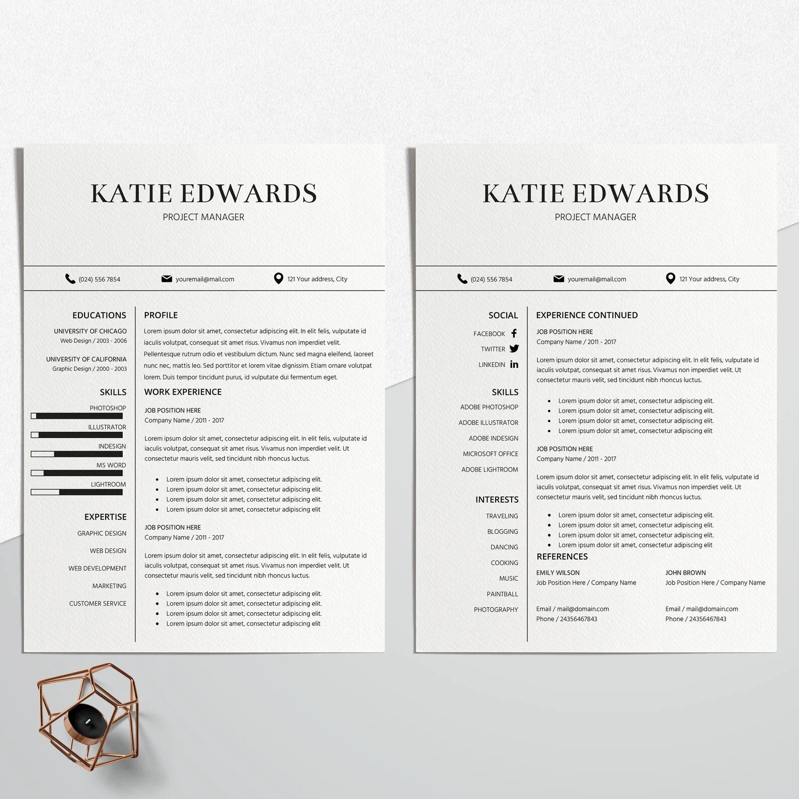Sales, Executive Resume Template 2024, Modern CEO Resume Template for ...
