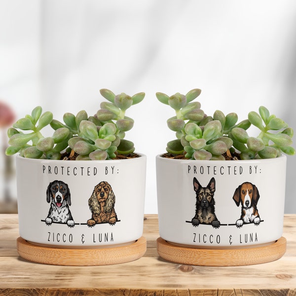 Personalized Dog Plant Pot, Ceramic Plant Pot, Handmade Ceramic Plant Pot, Indoor Small Plant Pot, Plant Gifts, Plant Mom Gift