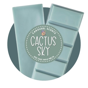 Cactus Sky Snap Bar Wax Melts | Wax Melts