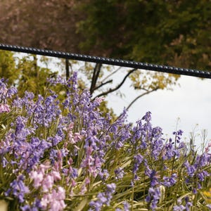 Full-Length Stained Bobbin Mirror