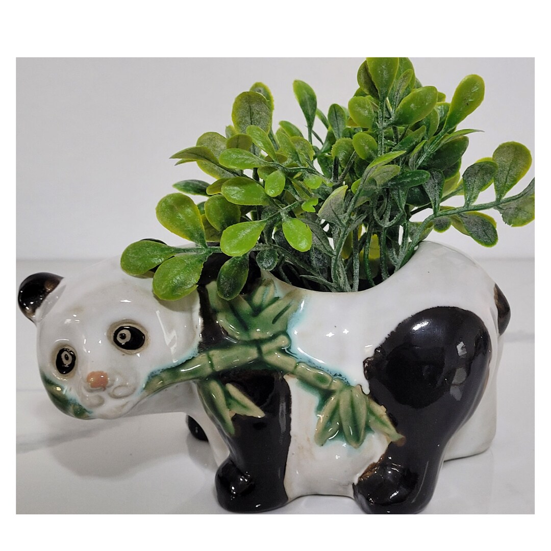 Vintage Indoor Planter Lucky Bamboo Panda Bear, Panda Planter, Vintage ...