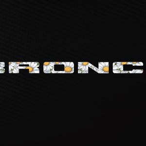 Peut inclure: Le mot BRONCO en lettres capitales grasses et en bloc sur un fond noir uni. L'intérieur de chaque lettre est rempli d'un motif répétitif de marguerites blanches avec des centres jaunes et des tiges vertes, créant un graphisme floral.