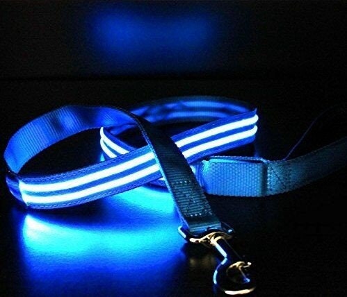 Lighted leashes cheap