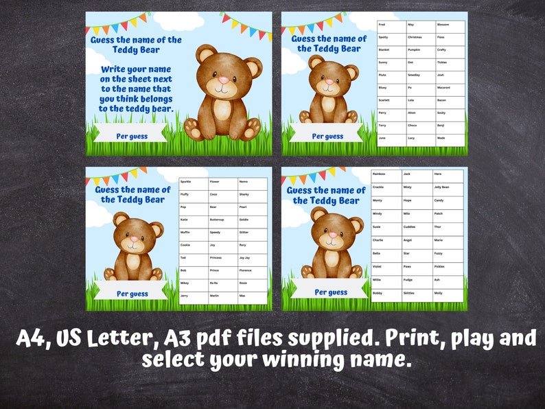 Guess the Teddy Bear Name Game: Printable Fundraiser (digital Download