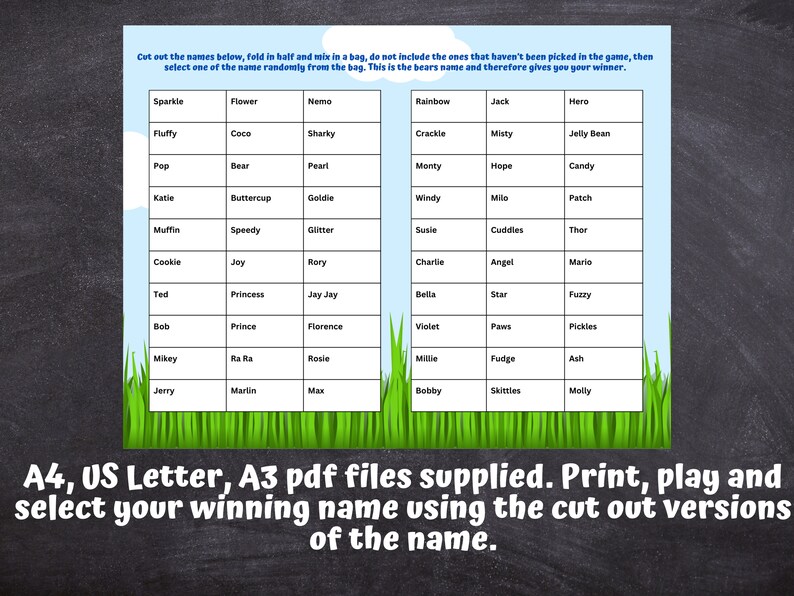 Guess The Teddy Bear Name Game Printable Fundraiser digital Download 