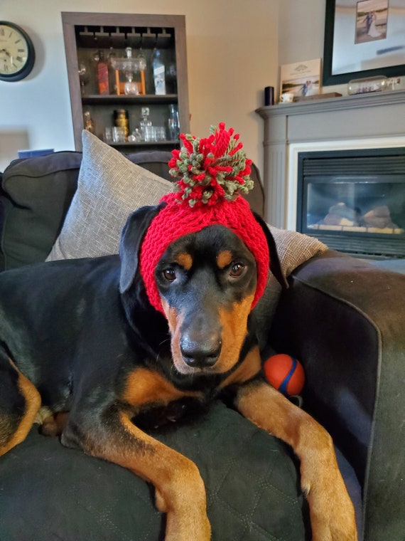 Knitted Dog Hat With Ear Holes - Etsy 