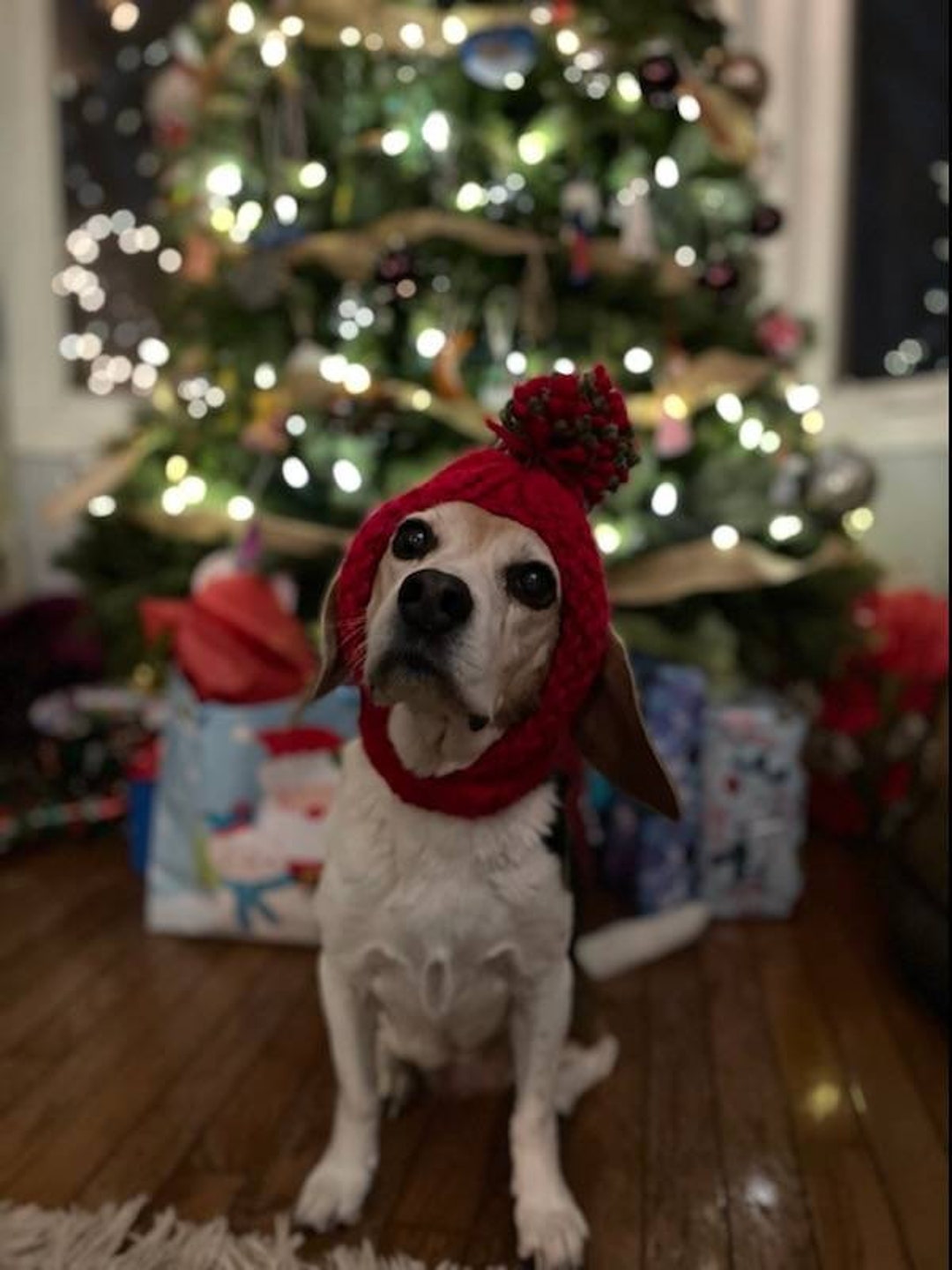 Loom Knit Dog Hat pattern Only Etsy