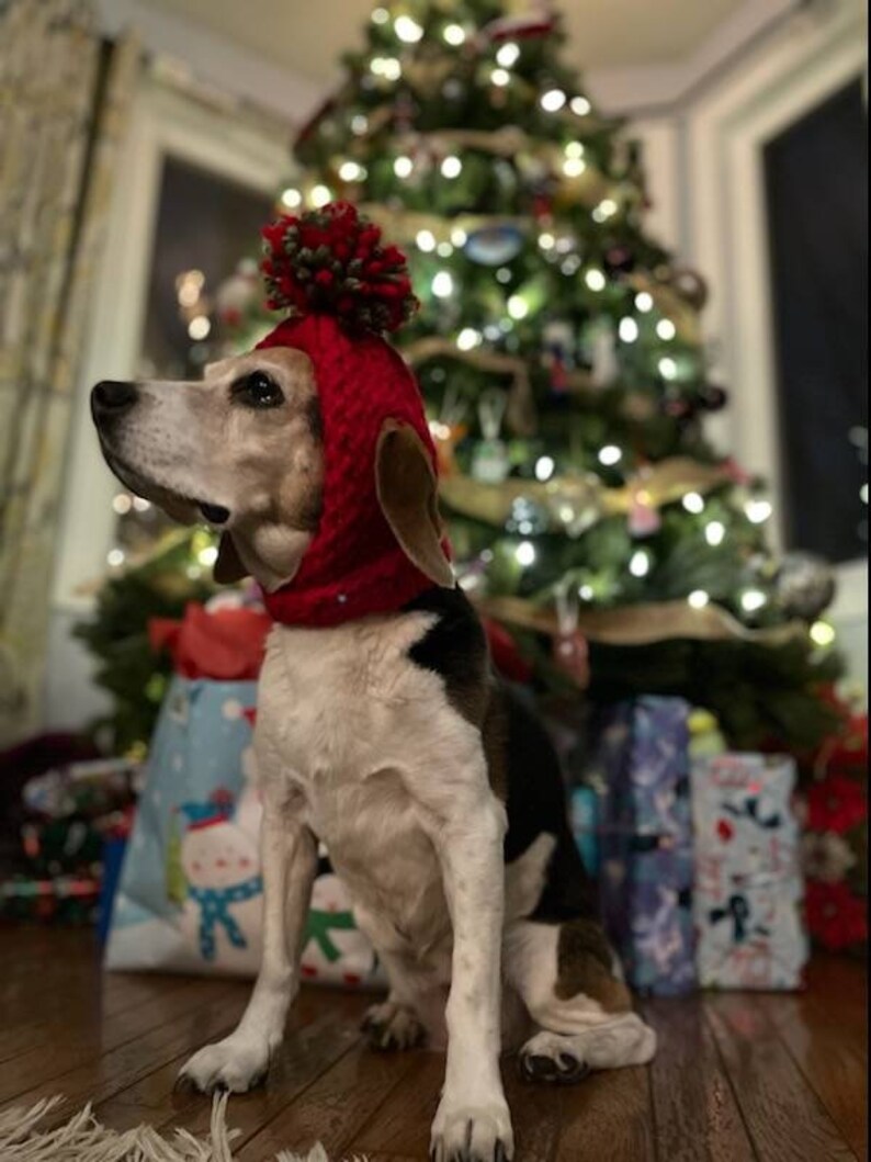 Loom Knit Dog Hat pattern Only Etsy