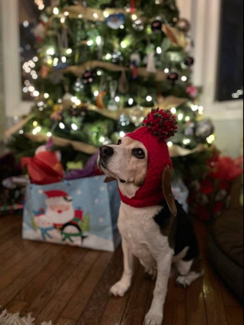 Loom Knit Dog Hat pattern Only Etsy