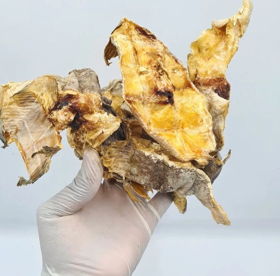 Stockfish/ 5 Pieces