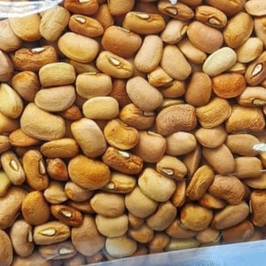 May include: A close-up image of a pile of dried brown beans. The beans are smooth and oval-shaped.