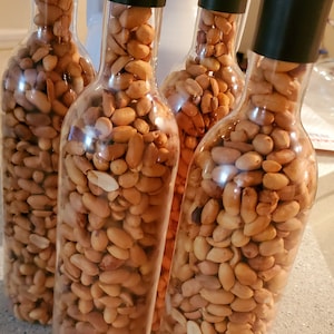 May include: Four glass bottles filled with roasted peanuts. The bottles have black tops and are arranged in a row on a light gray surface.