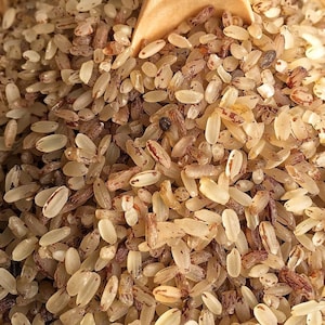 May include: Close-up of a bowl of brown rice with red and white grains. The rice is uncooked and has a slightly rough texture.