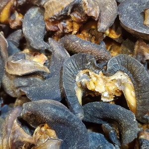 Oven dried snail/ready to ship(5 pieces