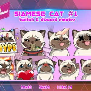 Gato siamés Chibi #2, Paquete de gestos Twitch, Paquete de gestos Discord, Gestos para Streamer, Paquete de gestos.