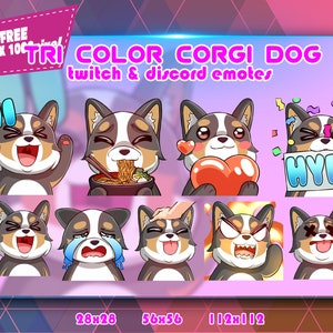 Pacote de Emotes Tricolor Corgi Chibi: Twitch e Discord (Download Digital)
